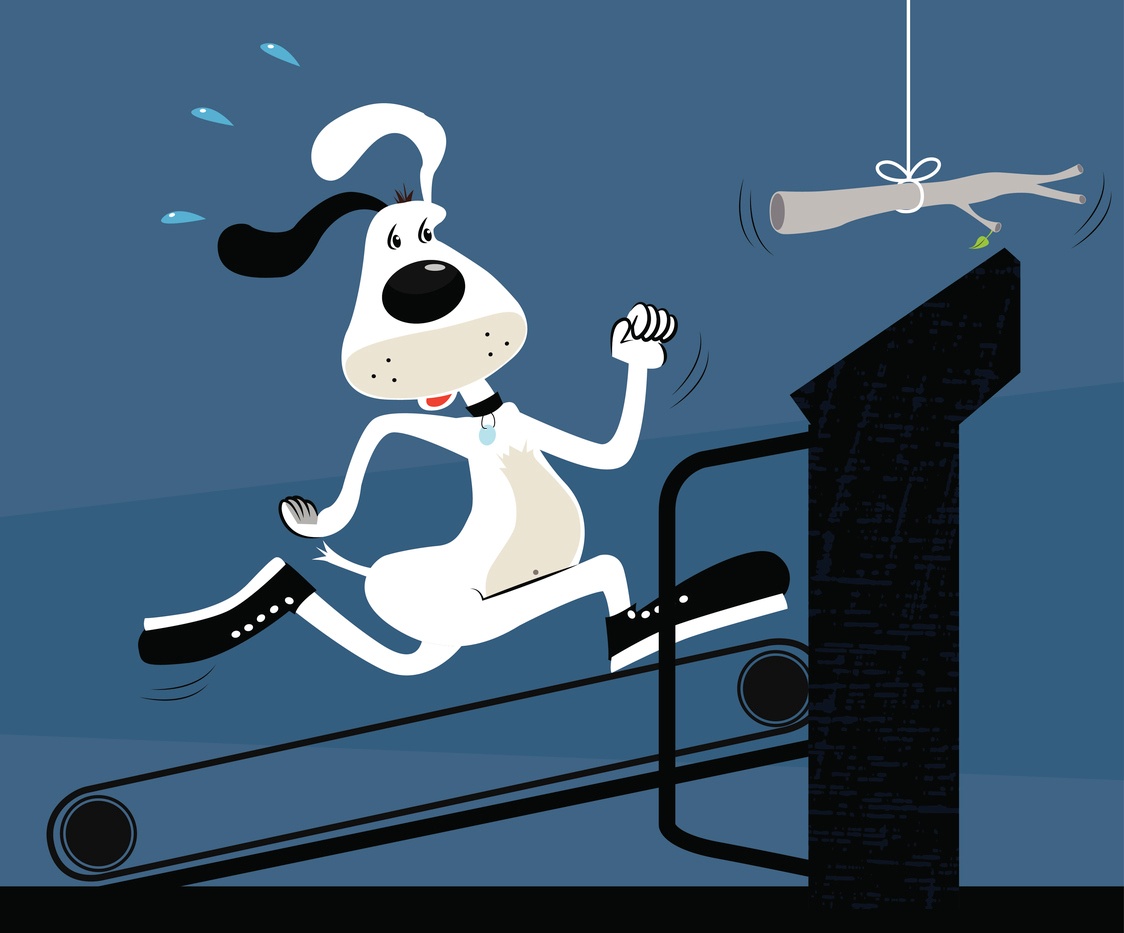 dog-treadmill