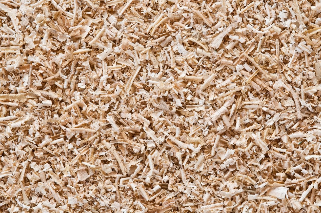 sawdust