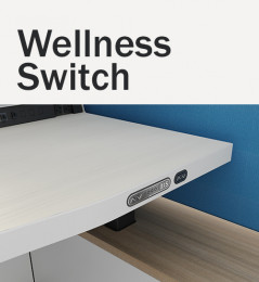 Wellness Switch